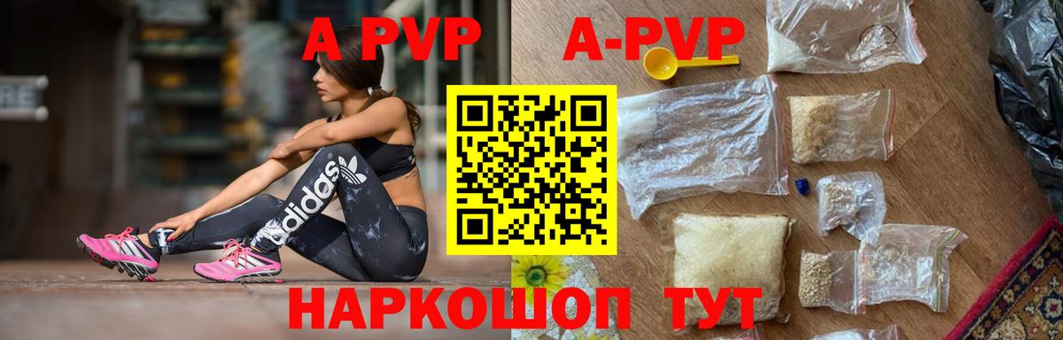 A-PVP СК Ярославль
