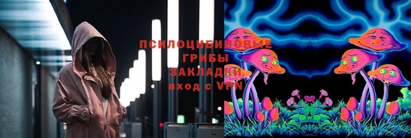 дмт Михайлов
