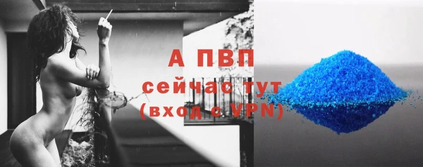 сатива Наволоки