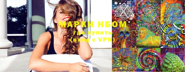 прущие грибы Навашино