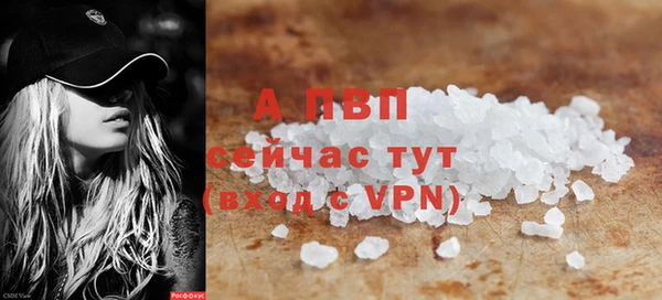 прущие грибы Навашино