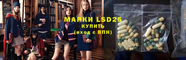 прущие грибы Навашино