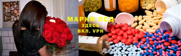 прущие грибы Навашино