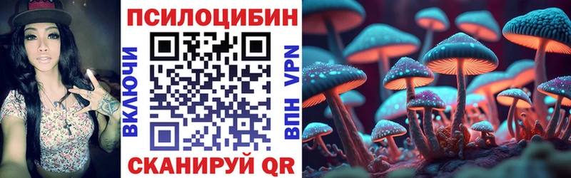Псилоцибиновые грибы MAGIC MUSHROOMS  blacksprut зеркало  Ярославль  купить  