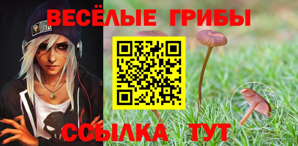 Мефедрон  Вход с VPN  КОКАИН  Кокаин  Гашик  MDMA  Ярославль  Канабис  Где найти наркотики?  Экстази  НБОМе 
