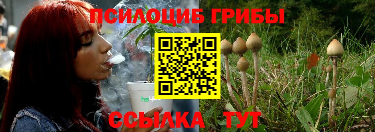 Ярославль  сколько стоит  Вход с VPN  Галлюциногенные грибы мицелий 
